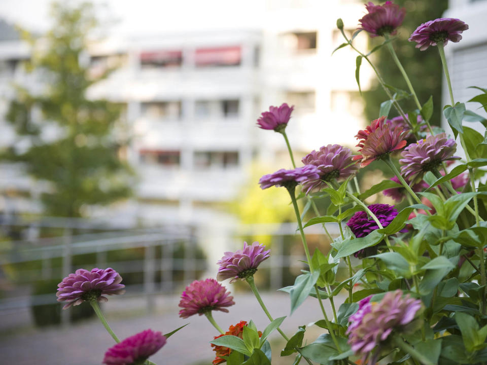 Das KWA Parkstift Hahnhof in Baden-Baden
