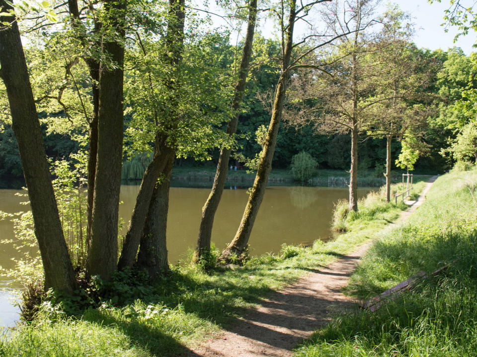 Das KWA Parkstift Aeskulap in Bad Nauheim