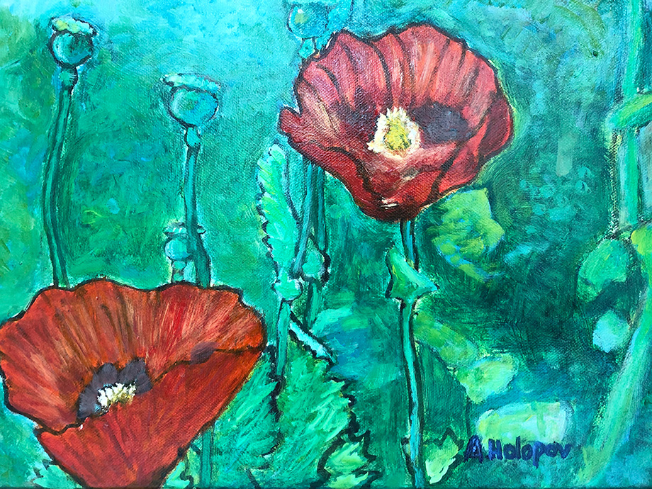 Bild von Alexander Hollop