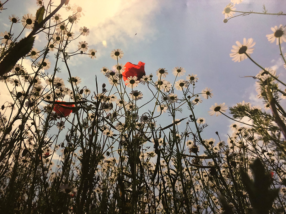 Foto: Claus Schunk