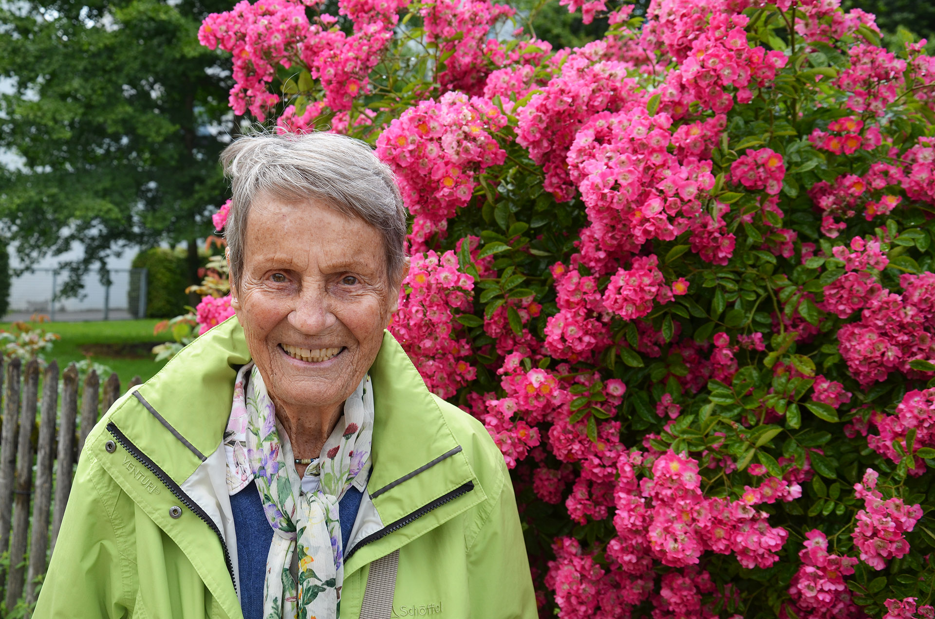 Rosenpracht auf der Fraueninsel