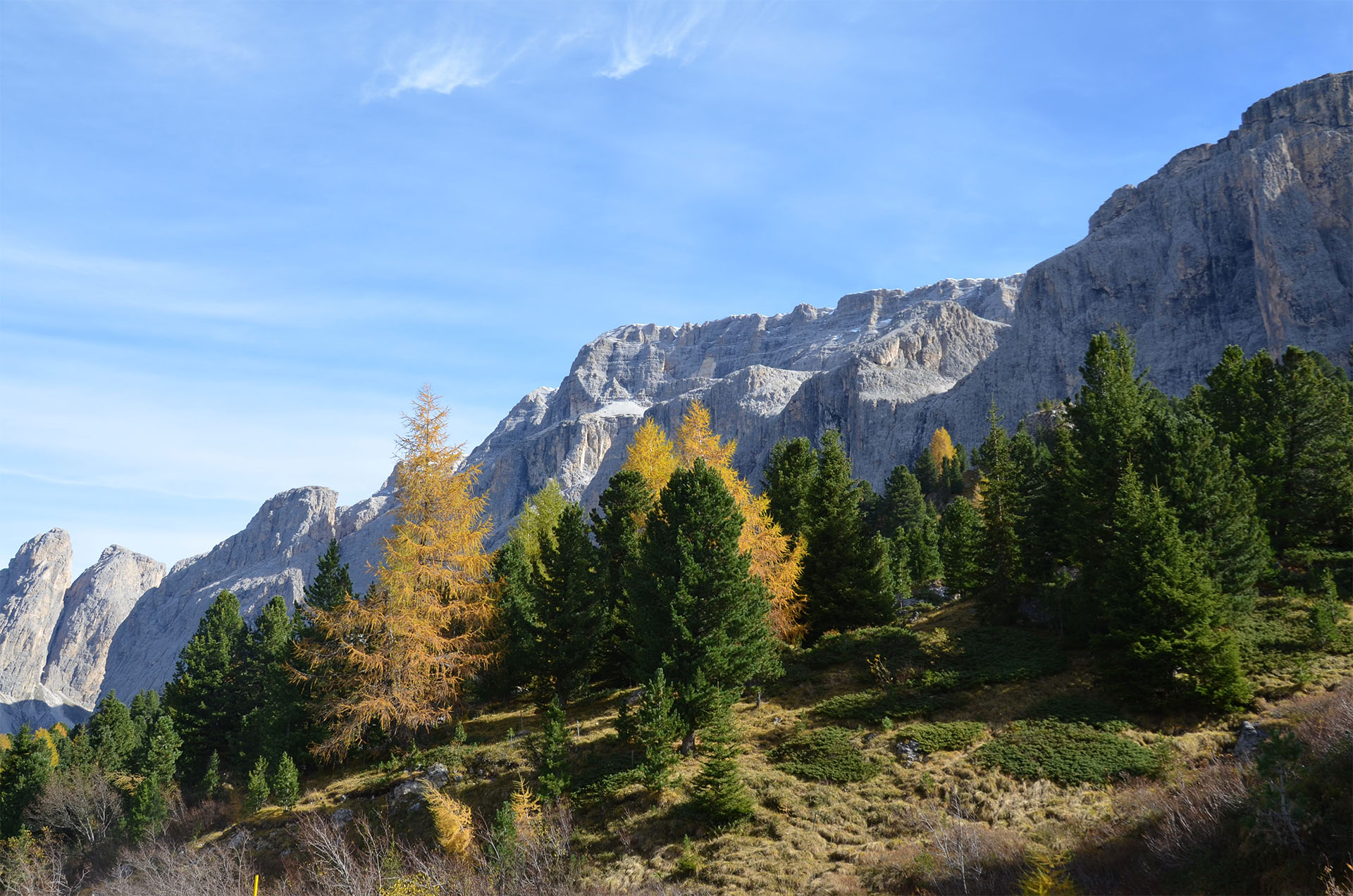 Das Sellajoch ist der bekannteste Pass der Dolomiten: Hier hat man fantastische Ausblicke auf die umliegenden Gipfel und im Herbst auch auf goldgelb leuchtende Lärchen zwischen tiefgrünen Fichten und Kiefern